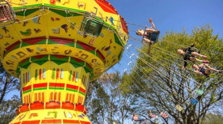 The BIG Sheep , , United Kingdom